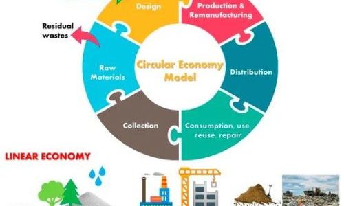 اقتصاد در صنعت پلیمر